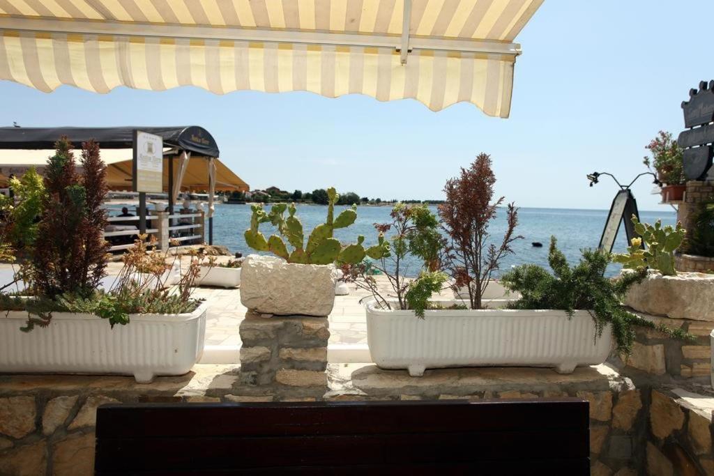 Sea View Apartment Umag 2 Esterno foto